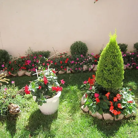 Apartment Mare Vodice
